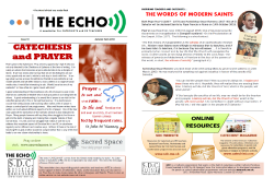 the echo