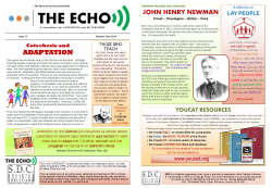 the echo