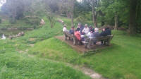 bible_study